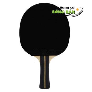 Vợt 729 Very 4 Star