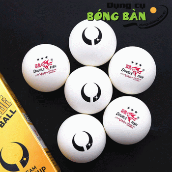 Double Fish V40+ 3 Stars Team World Cup