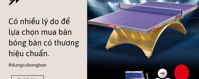 Có nhiều lý do để lựa chọn mua bàn bóng bàn có thương hiệu chuẩn