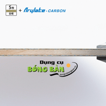 Butterfly Viscaria CS