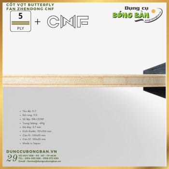 Fan Zhendong CNF