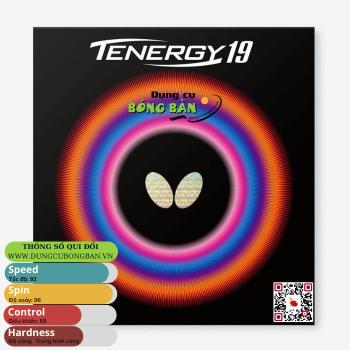 Butterfly Tenergy 19