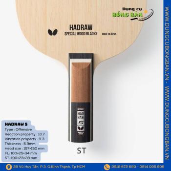 Butterfly HADRAW 5