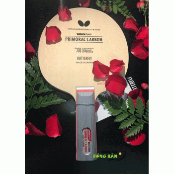 Butterfly Primorac Carbon