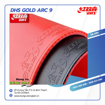 Mặt vợt DHS Gold Arc 9