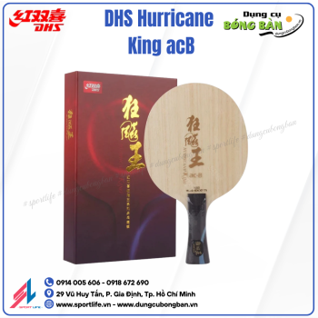 DHS Hurricane King ac-B