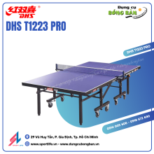 Bàn bóng bàn DHS T1223 PRO