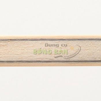 DONIC Original Carbospeed