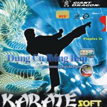 Karate Soft