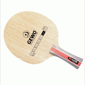 Gewo Hybrid carbon X/Speed