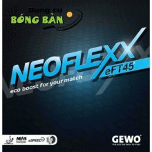 Gewo Neoflexx eFT45