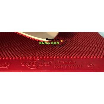 Kokutaku 119 (Gai công)