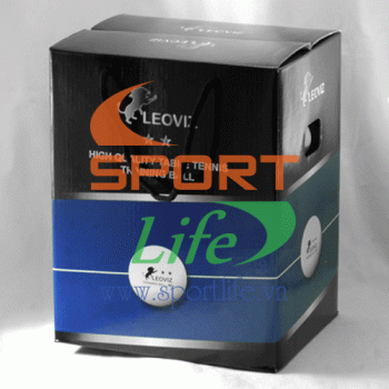 Bóng tập LEOVIZ 2 sao