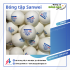 Bóng tập Sanwei ABS (10 quả)
