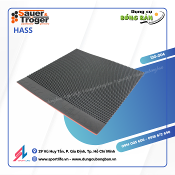 Sauer Troger Hass