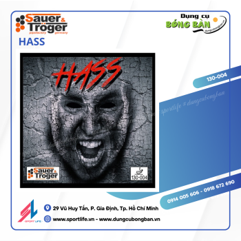 Sauer Troeger Hass