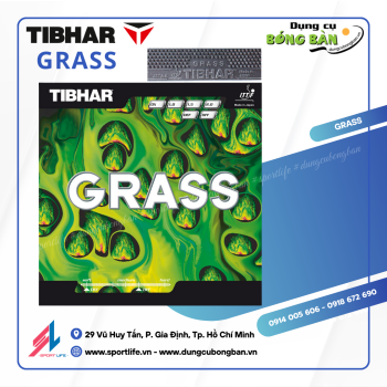 Tibhar GRASS