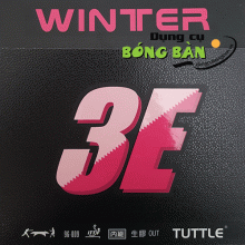 Tutle Winter 3E - Gai trung