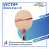 Victas Blockman