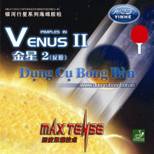 Yinhe Venus II